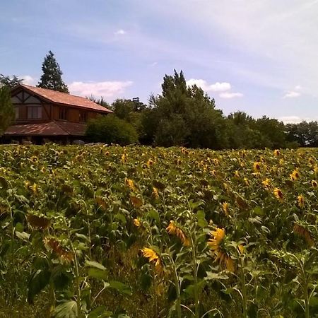 Berdale Bed and Breakfast Lagraulet-du-Gers Buitenkant foto
