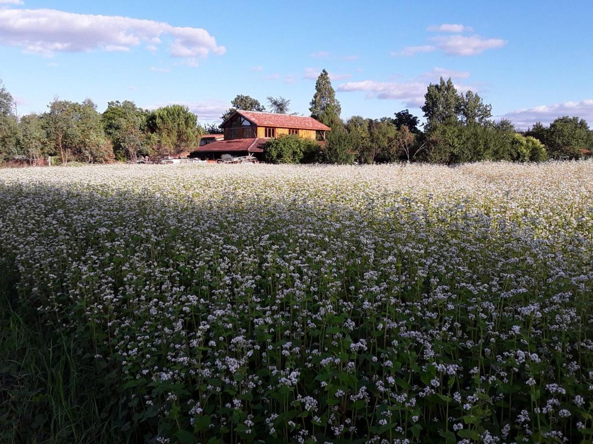 Berdale Bed and Breakfast Lagraulet-du-Gers Buitenkant foto