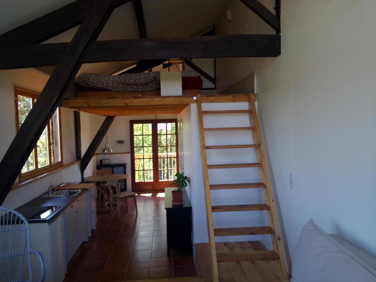 Berdale Bed and Breakfast Lagraulet-du-Gers Buitenkant foto